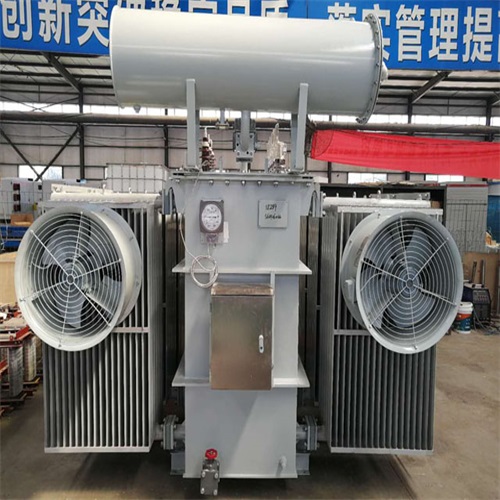 雨湖S20-8000KVA变压器